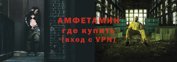 индика Новокубанск