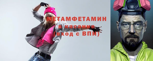 индика Новокубанск