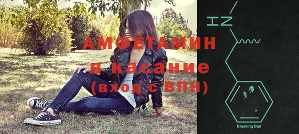 индика Новокубанск