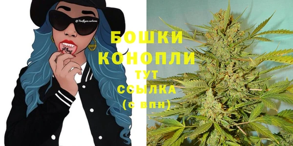 прущие грибы Свободный