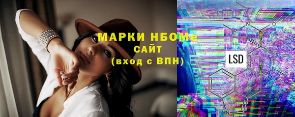 индика Новокубанск