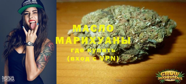 индика Новокубанск