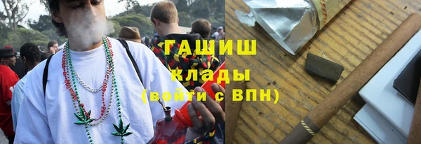 индика Новокубанск