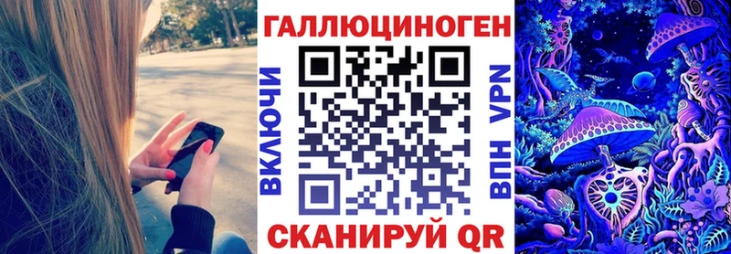 дарнет шоп  Черногорск  mega зеркало  Псилоцибиновые грибы мухоморы 