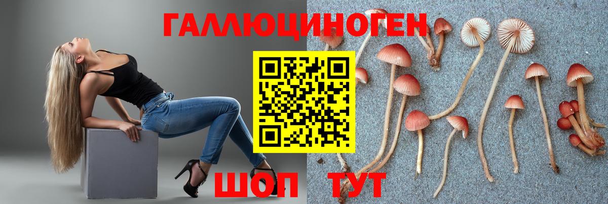 Галлюциногенные грибы ЛСД  Черногорск 